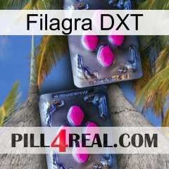 Filagra DXT 01